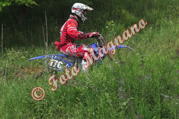DSC_4697.jpg